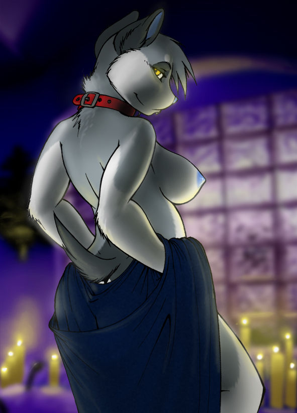 Dewy's Furry Collection Pt3 page 1 full