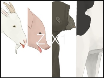 Z-X1 cover