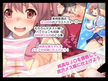 Junshin na J○ wo Choukyou shite Shiriana Mesubuta ni Shiage you cover