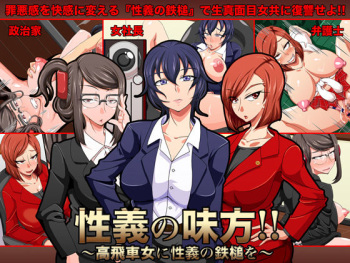 Seigi no Mikata!! ~Takabisha Onna ni Seigi no Tettsui wo~ cover