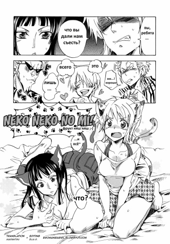 Neko Neko no Mi! cover