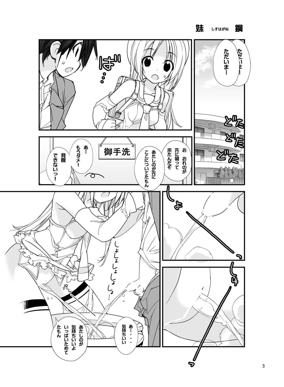 SisCon page 2 full