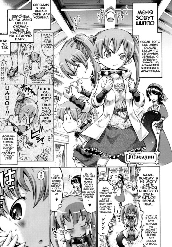 Shippo de Meganekko!? cover