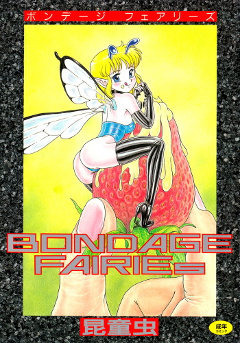 Bondage Fairies cover