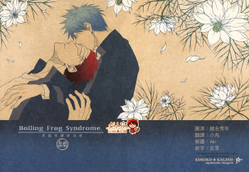 Boiling Frog Syndrome cover