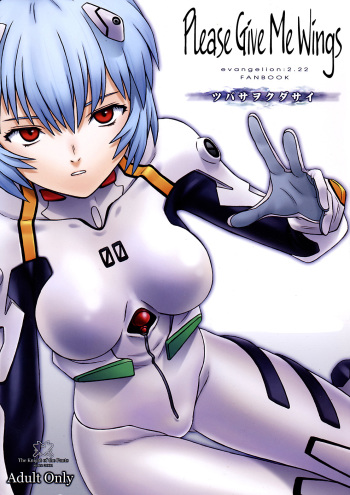 Tsubasa wo Kudasai | Please Give Me Wings cover