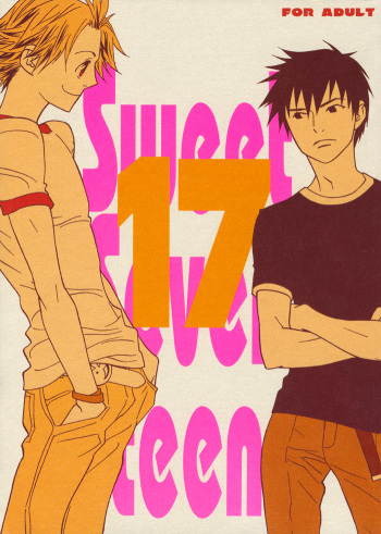 Sweet Seventeen cover