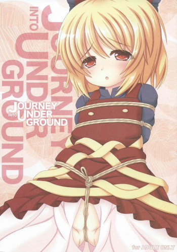 Journey Into Underground cover