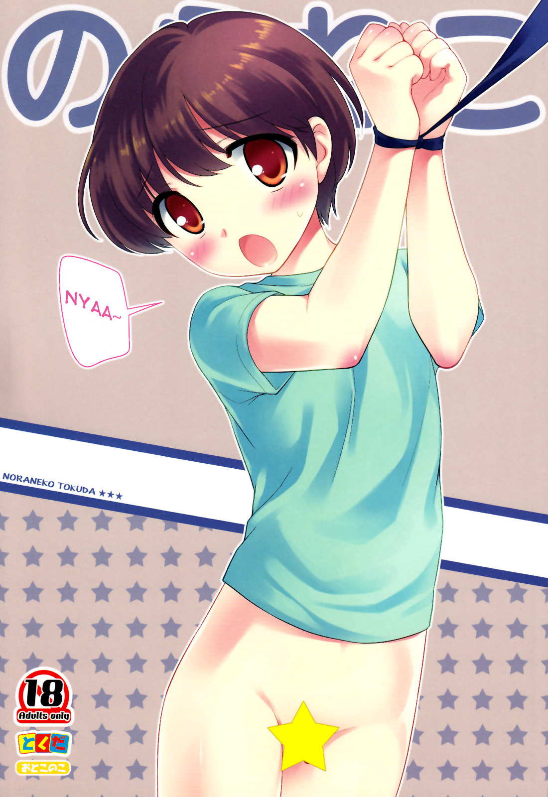 Noraneko | Stray Cat page 1 full