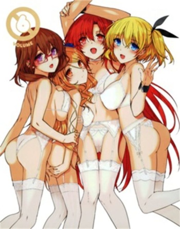 Gallery Big Breast cover