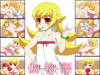 Togimonogatari cover