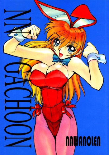 NN GACHOON cover