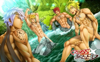 Cross Breed cover