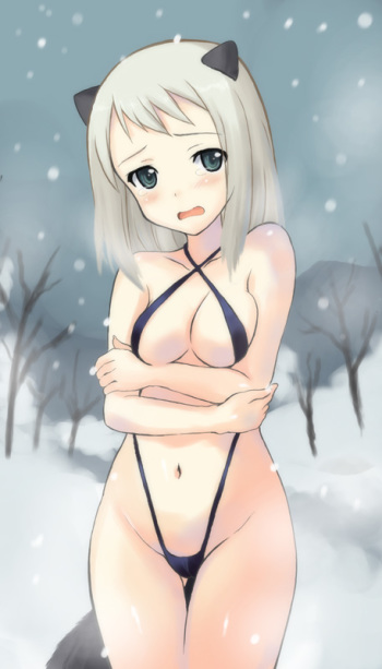 Ice and snow cover