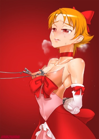 Nipple Torture cover