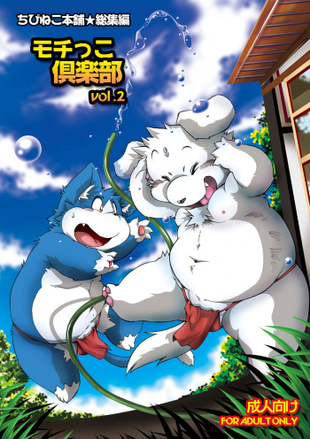 Mochikko Club vol. 2 cover