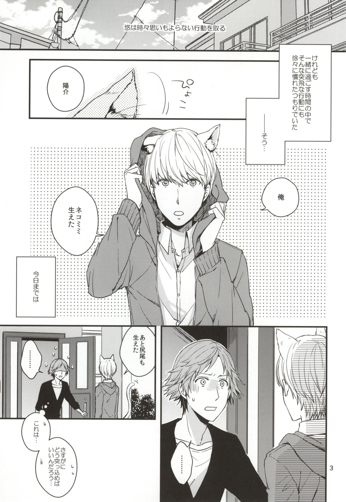 CRAZY CAT LOVER page 2 full
