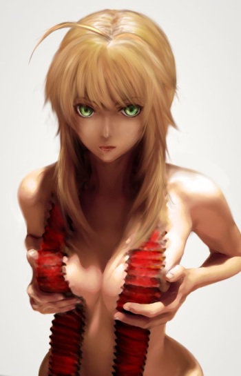 Fate EXTRA red saber cover
