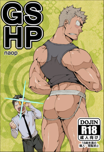 GSHP cover