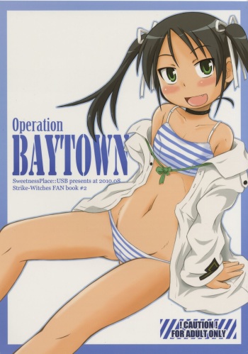 Operation BAYTOWN cover