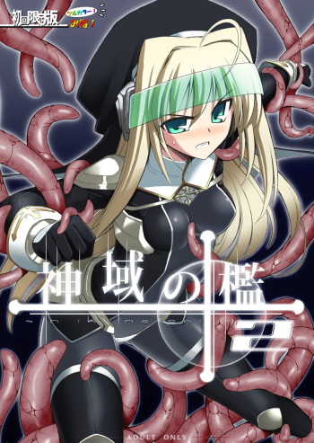 sin iki no ori 2 Shokai Genteiban cover