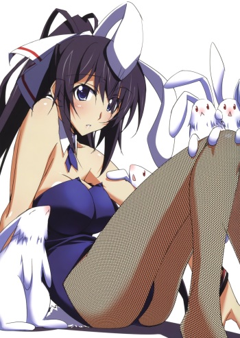 my ImageSet  - infinite Stratos  # 01 cover