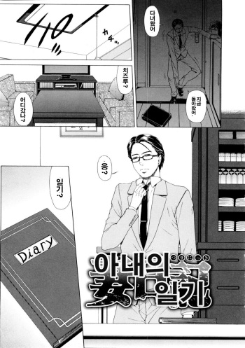 tsuma nikki 아내 일기 cover