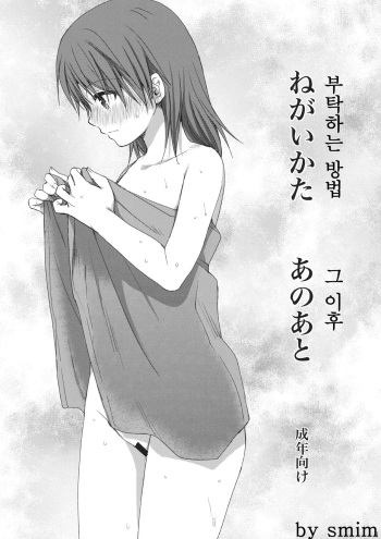 Negai Kata Ano Ato cover
