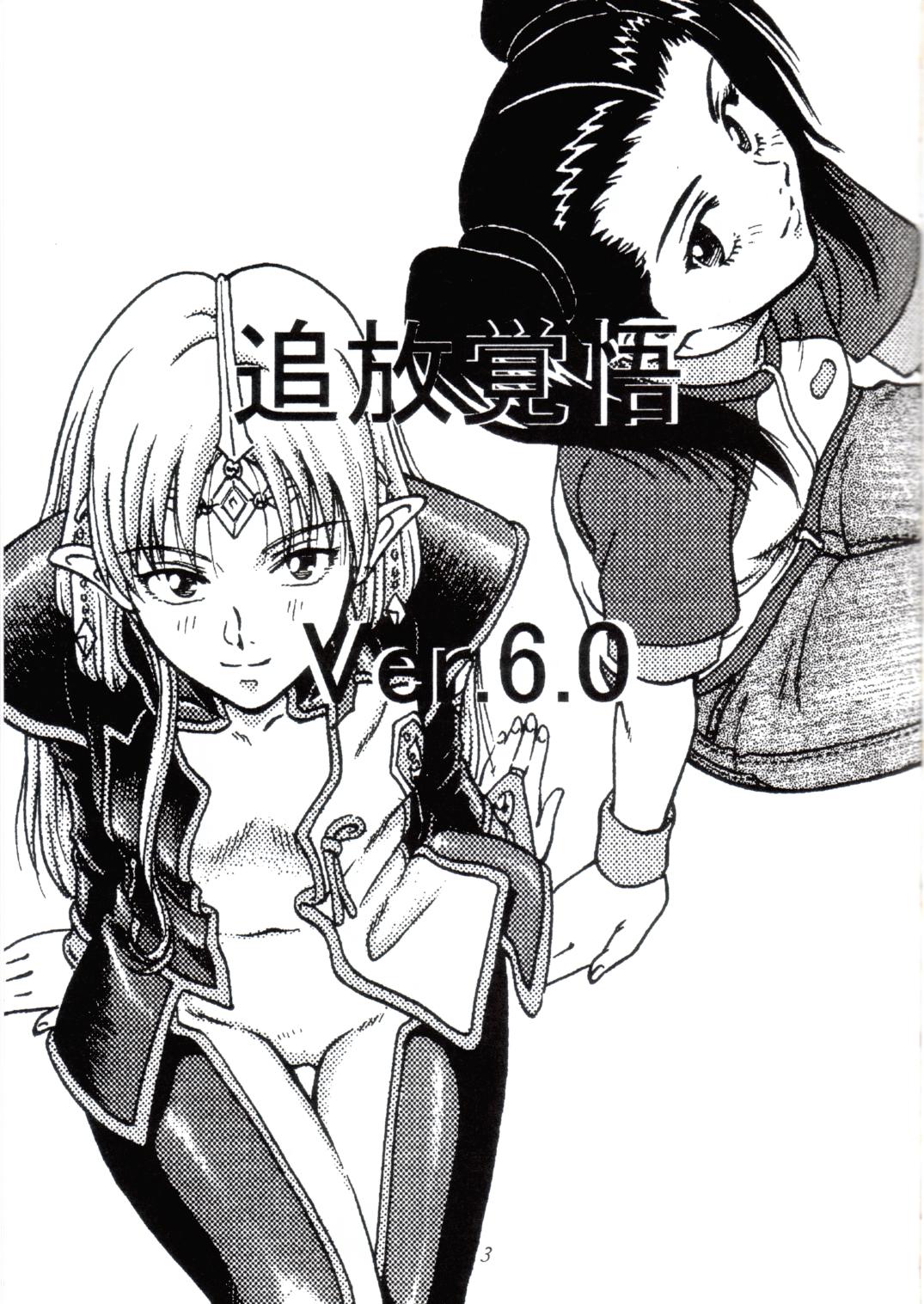 Tsuihou Kakugo Ver 6.0 page 3 full