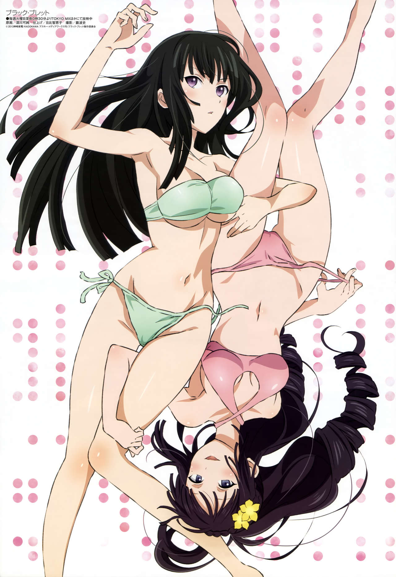 Black Bullet Gallery page 4 full