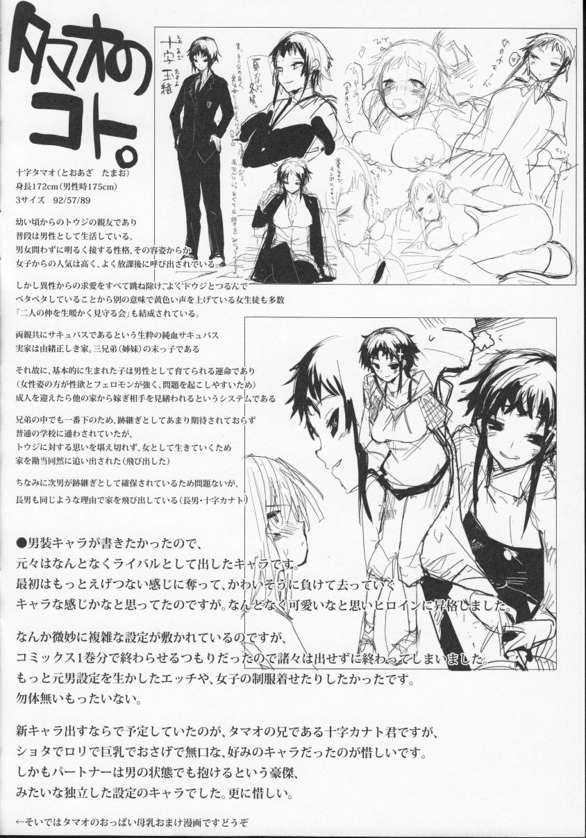Soto no Kuni no Yome - Toranoana Gentei Shousasshi page 3 full