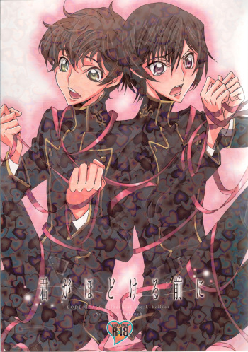 Kimi ga hodokeru mae ni cover