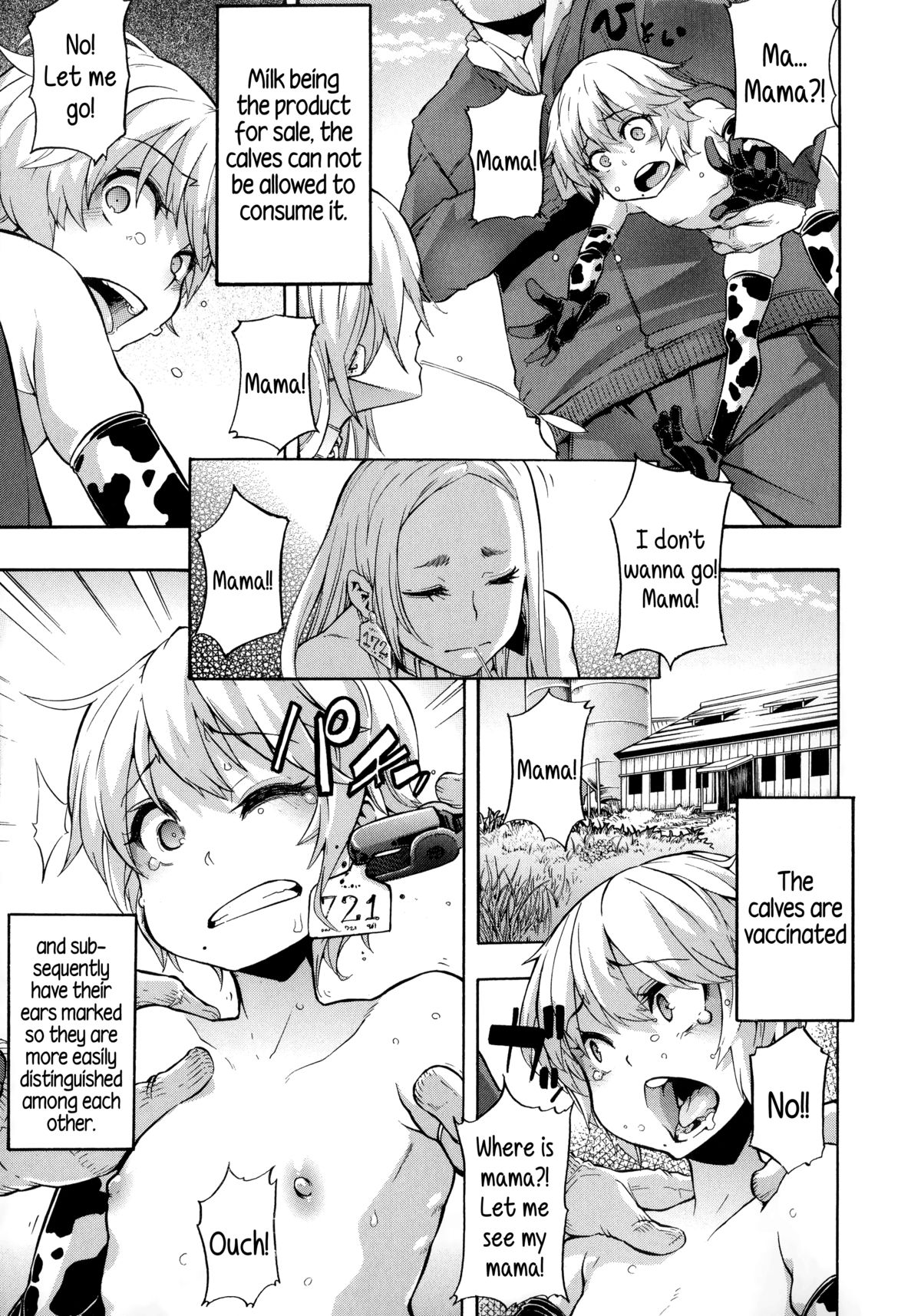 a Nyuugyuu life | a dairy cow's life page 3 full