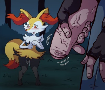 Braixen Set cover