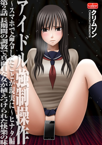 Virgin Idol 2 cover