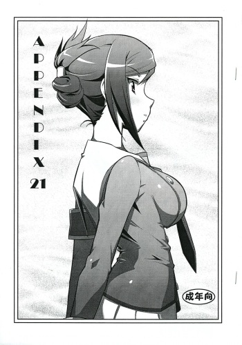 APPENDIX 21 cover