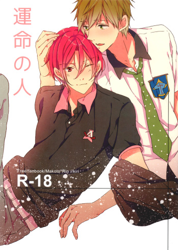 Unmei no Hito cover
