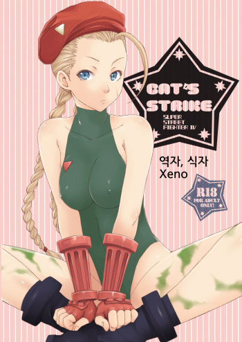 CAT'S STRIKE cover