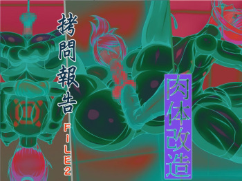 Goumon Houkoku FILE2 Nikutai Kaizou cover