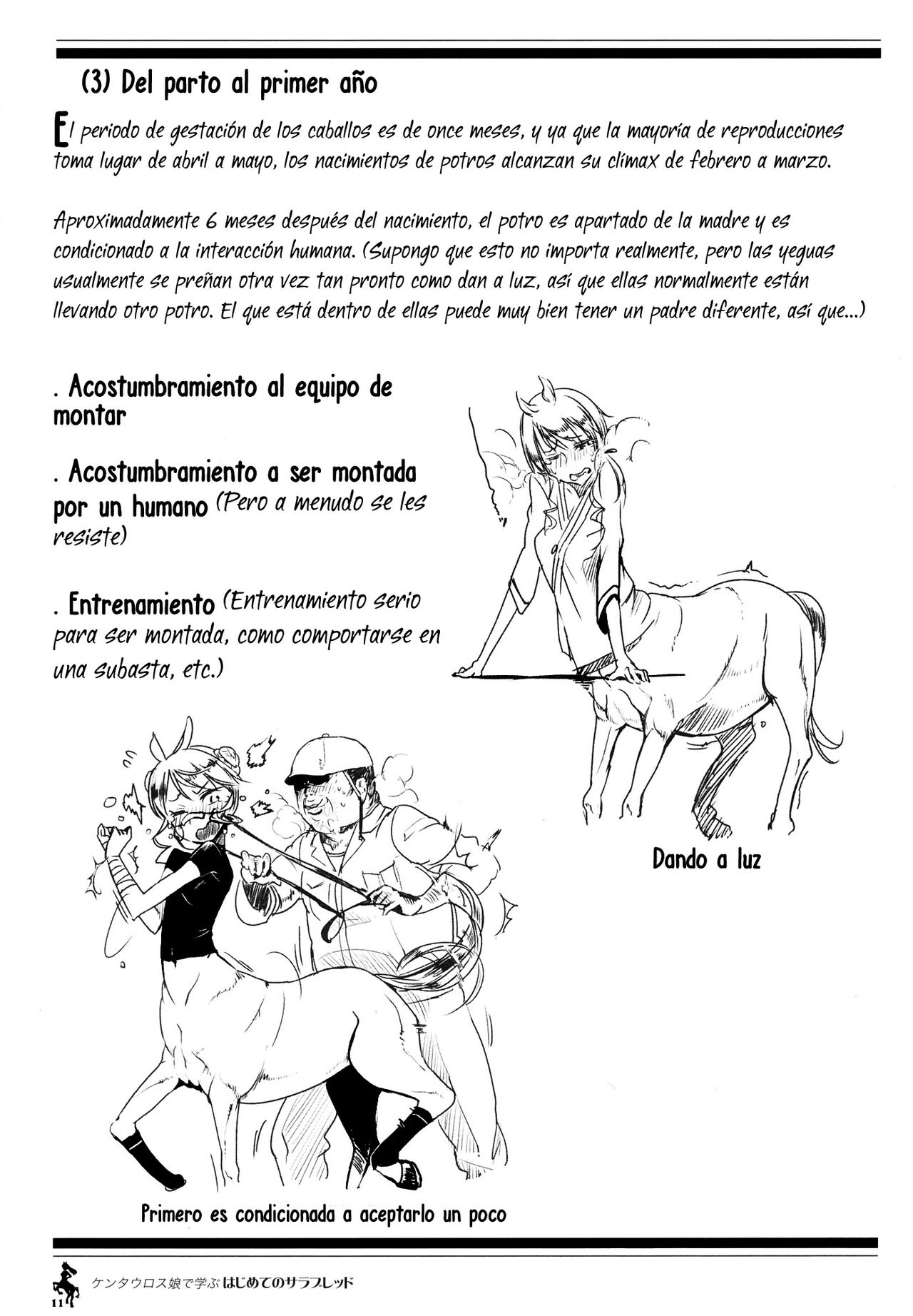 Centaur Musume de Manabu Hajimete no Thoroughbred | Aprendiendo con las Chicas Centauro Introducción a las Purasangre  =P666HF= page 10 full