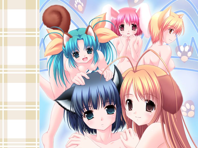 Mimi x Mimi! ~Hatsujou Chuuihou~ page 2 full