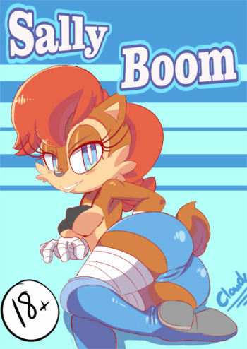Sally Boom cover