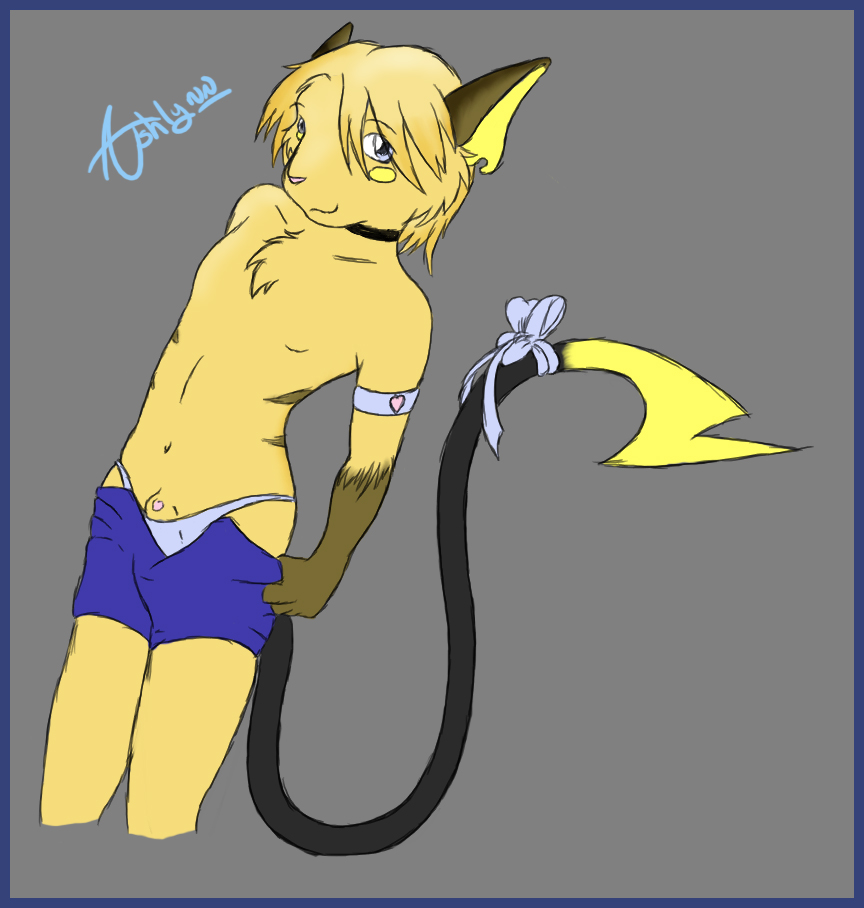 Accelo page 8 full