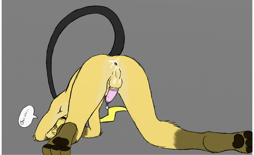 Accelo page 9 full