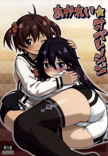 AkaRei☆Operation cover