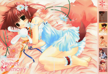 Sweet Memory cover