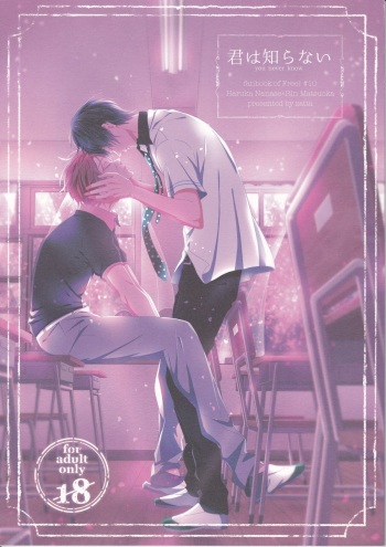 Kimi wa Shiranai - You never Know cover