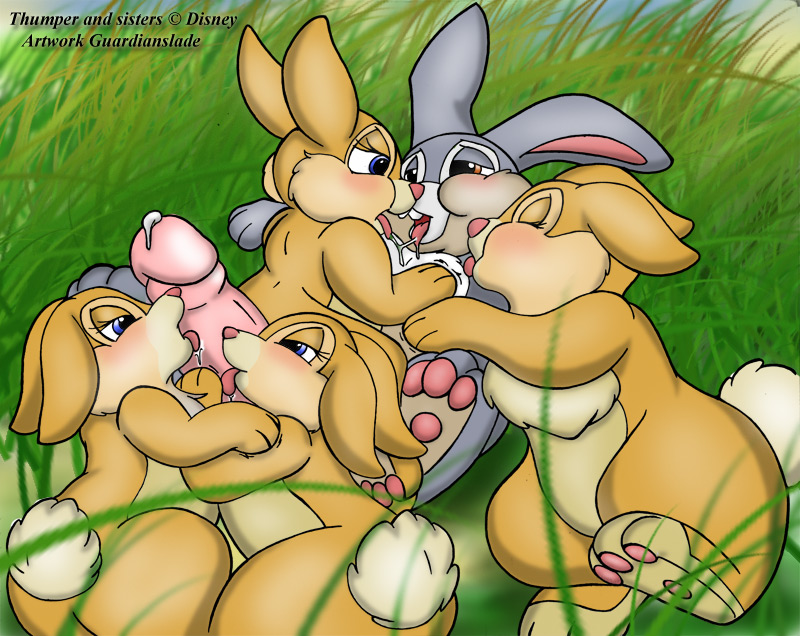 Thumper's Harem page 1 full