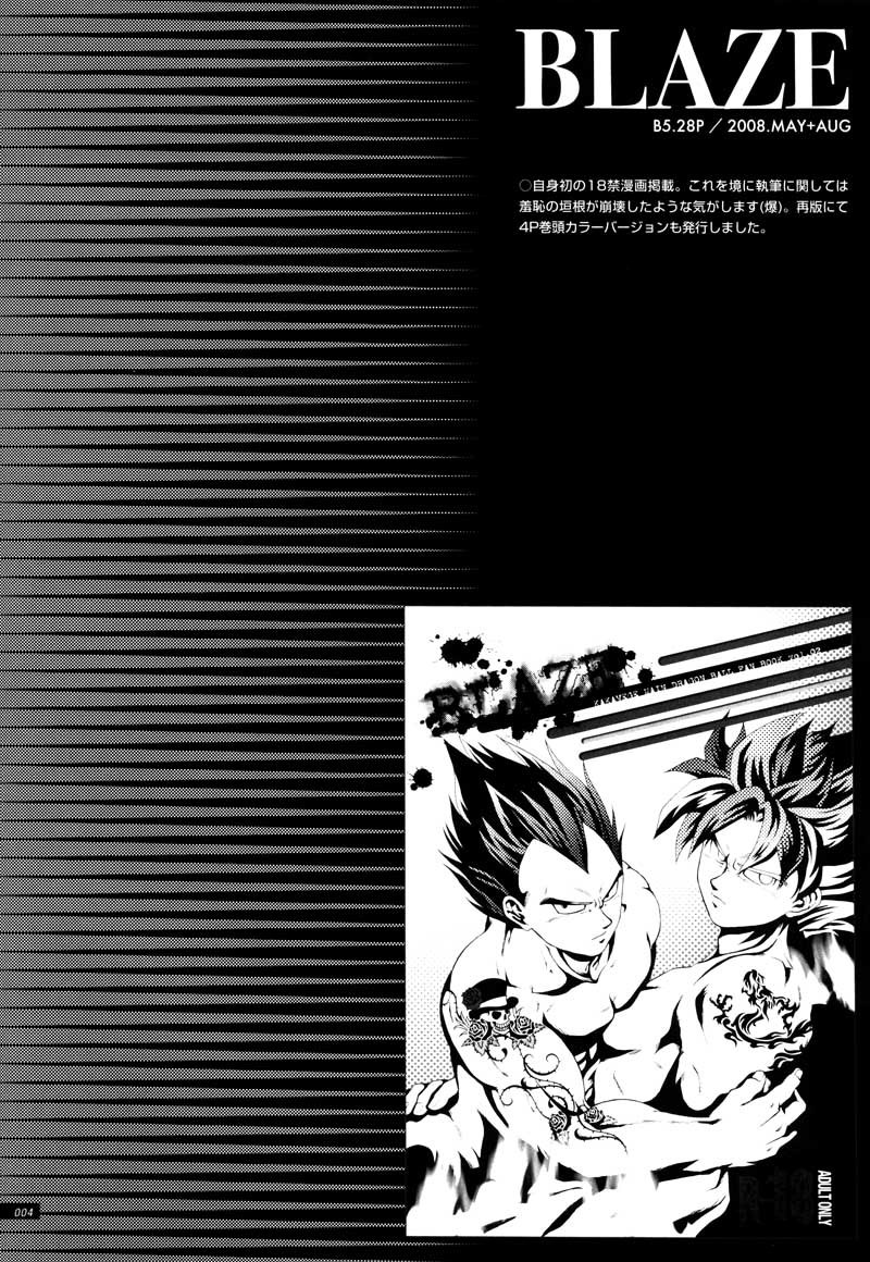 Sairokua page 2 full