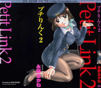 Petit Link 2 cover
